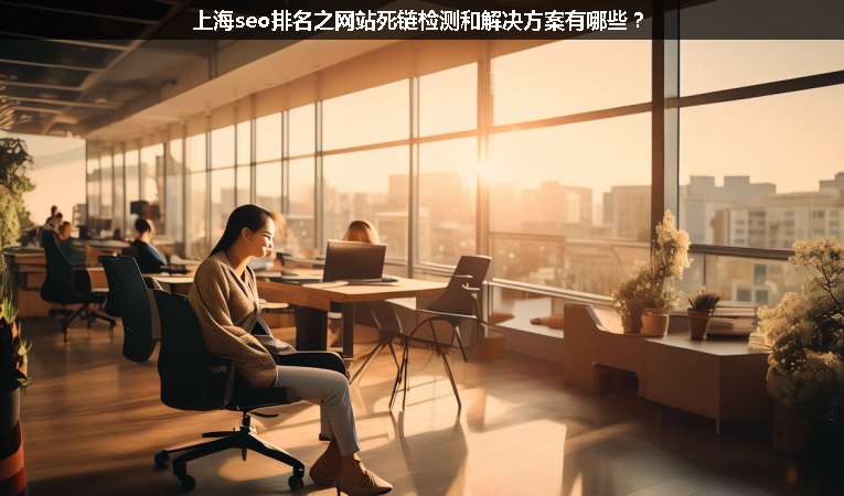 上海seo排名之網(wǎng)站死鏈檢測和解決方案有哪些？