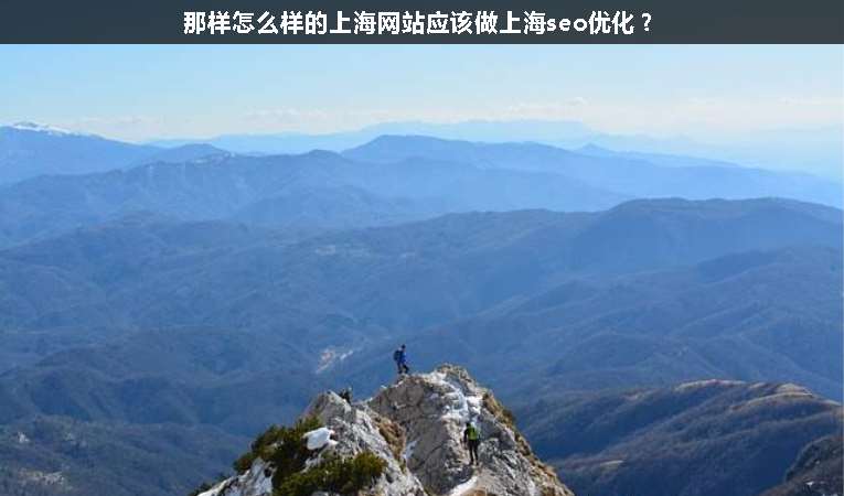 那樣怎么樣的上海網(wǎng)站應(yīng)該做上海seo優(yōu)化？