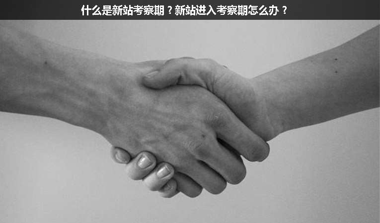 什么是新站考察期？新站進入考察期怎么辦？
