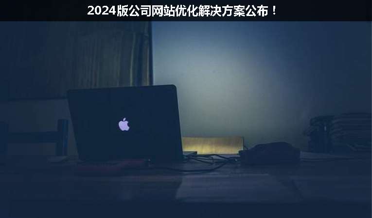 2024版公司網(wǎng)站優(yōu)化解決方案公布！