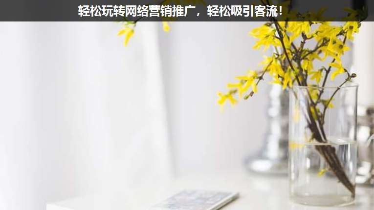 輕松玩轉(zhuǎn)網(wǎng)絡(luò)營(yíng)銷(xiāo)推廣,輕松吸引客流!
