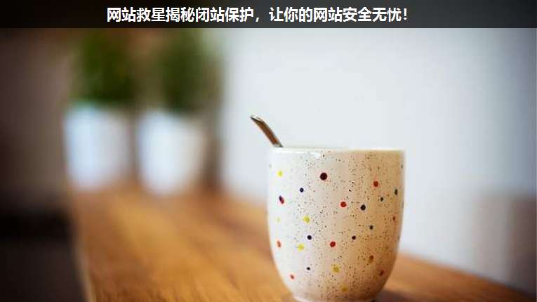 網(wǎng)站救星揭秘閉站保護(hù),讓你的網(wǎng)站安全無(wú)憂!