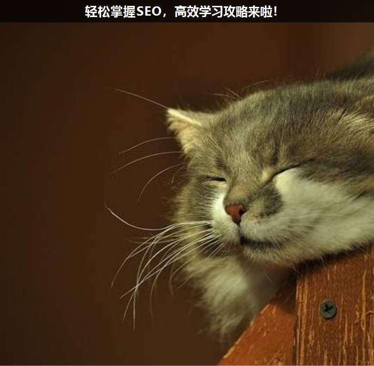 輕松掌握SEO,高效學(xué)習(xí)攻略來(lái)啦!