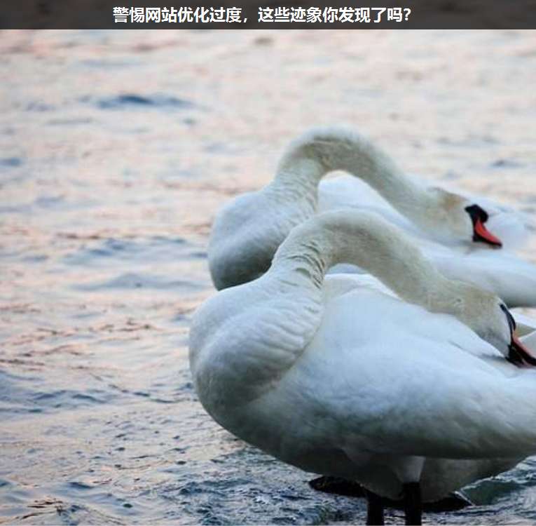 警惕網(wǎng)站優(yōu)化過度,這些跡象你發(fā)現(xiàn)了嗎?