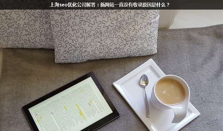 上海seo優(yōu)化公司解答：新網(wǎng)站一直沒有收錄原因是什么？